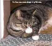chats